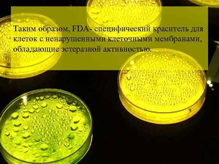 Таким образом, FDA- специфический краситель для клеток с ненарушенными клеточными мембранами, обладающие эстеразной активностью.