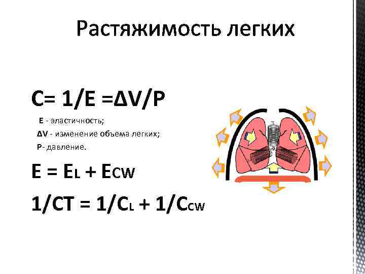 С= 1/Е =ΔV/P Е - эластичность; ΔV - изменение объема легких; P- давление. E