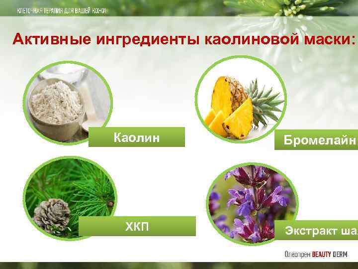 Активные ингредиенты каолиновой маски: Каолин ХКП Бромелайн Экстракт шал 