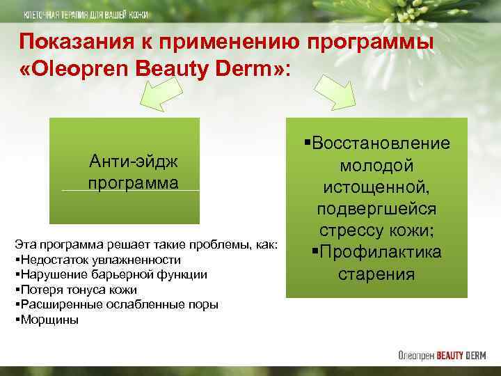 Показания к применению программы «Oleopren Beauty Derm» : Анти-эйдж программа Эта программа решает такие