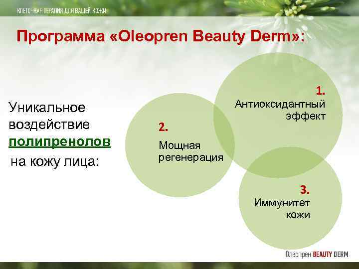 Программа «Oleopren Beauty Derm» : Уникальное воздействие полипренолов на кожу лица: 1. 2. Антиоксидантный