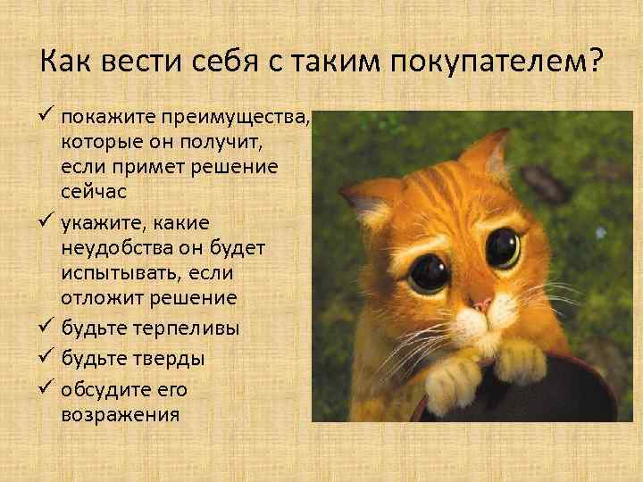 Как вести себя с таким покупателем? ü покажите преимущества, которые он получит, если примет