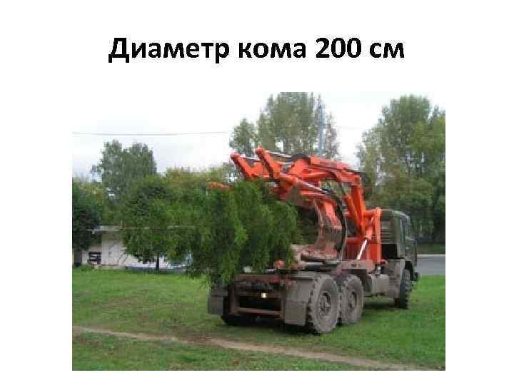 Диаметр кома 200 см 