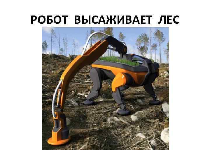 РОБОТ ВЫСАЖИВАЕТ ЛЕС 
