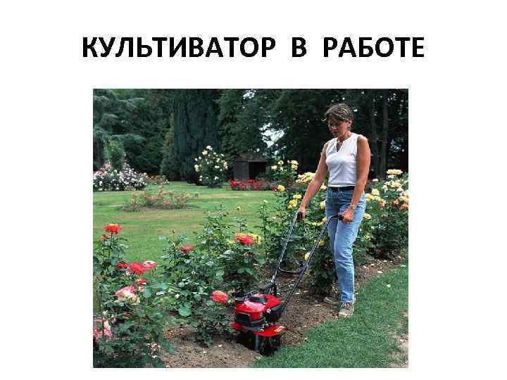 КУЛЬТИВАТОР В РАБОТЕ 