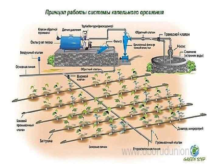 Поли система