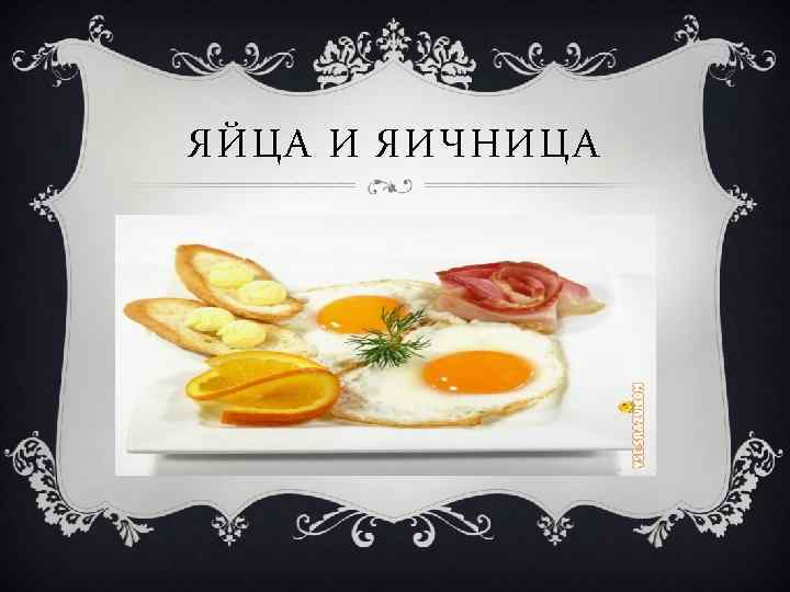 ЯЙЦА И ЯИЧНИЦА 