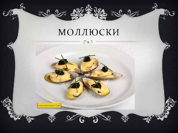 МОЛЛЮСКИ 