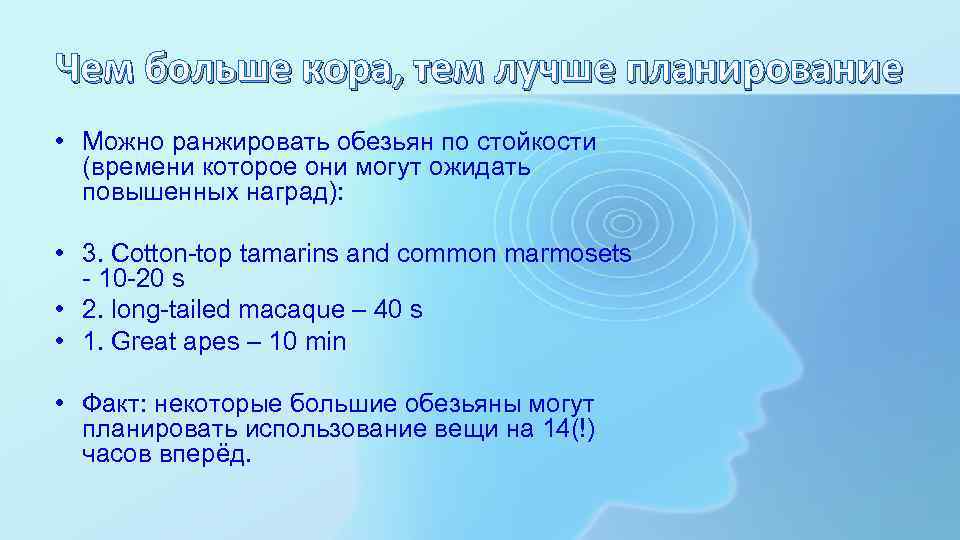 Чем больше кора, тем лучше планирование • Можно ранжировать обезьян по стойкости (времени которое