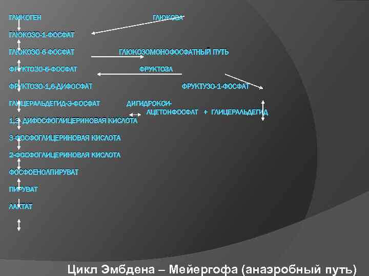 ГЛИКОГЕН ГЛЮКОЗА ГЛЮКОЗО-1 -ФОСФАТ ГЛЮКОЗО-6 -ФОСФАТ ГЛЮКОЗОМОНОФОСФАТНЫЙ ПУТЬ ФРУКТОЗО-6 -ФОСФАТ ФРУКТОЗО-1, 6 -ДИФОСФАТ ФРУКТОЗА