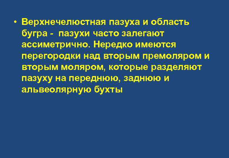  • Верхнечелюстная пазуха и область бугра - пазухи часто залегают ассиметрично. Нередко имеются