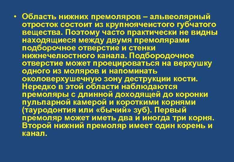  • Область нижних премоляров – альвеолярный отросток состоит из крупноячеистого губчатого вещества. Поэтому