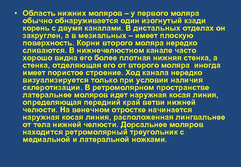  • Область нижних моляров – у первого моляра обычно обнаруживается один изогнутый кзади