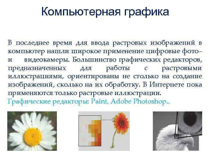 Компьютерная графика В последнее время для ввода растровых изображений в компьютер нашли широкое применение