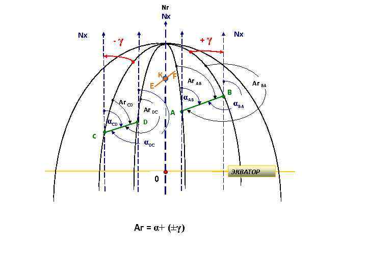 Nг Nx Nx -γ К Е Аг CD αCD С Nx +γ F Аг