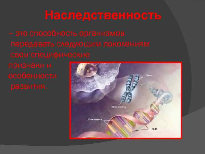  Наследственность – это способность организмов передавать следующим поколениям свои специфические признаки и особенности