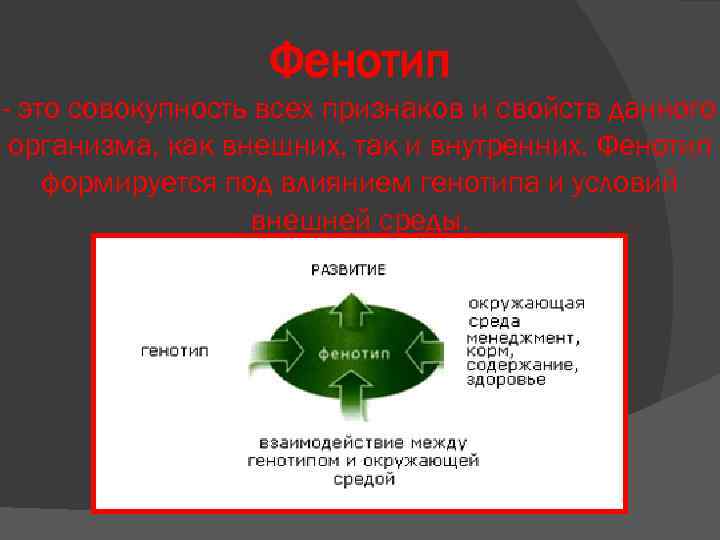 Фенотип - это совокупность всех признаков и свойств данного организма, как внешних, так и