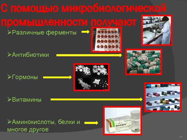 С помощью микробиологической промышленности получают ØРазличные ферменты ØАнтибиотики ØГормоны ØВитамины ØАминокислоты, белки и многое