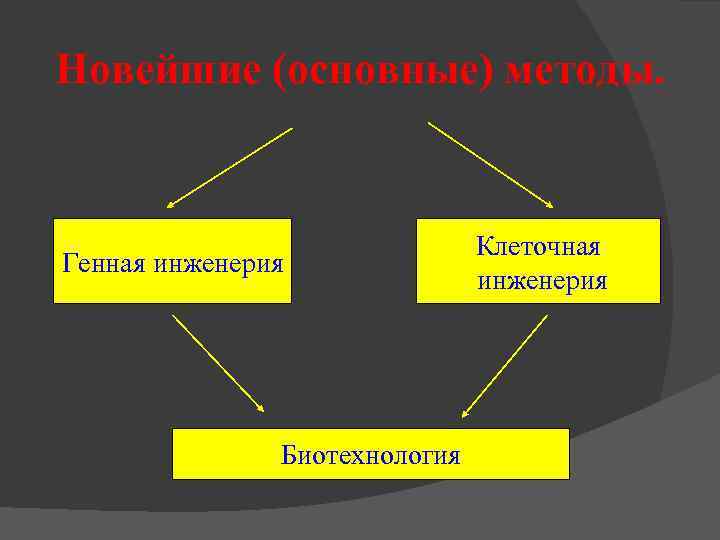 Новейшие (основные) методы. Генная инженерия Биотехнология Клеточная инженерия 