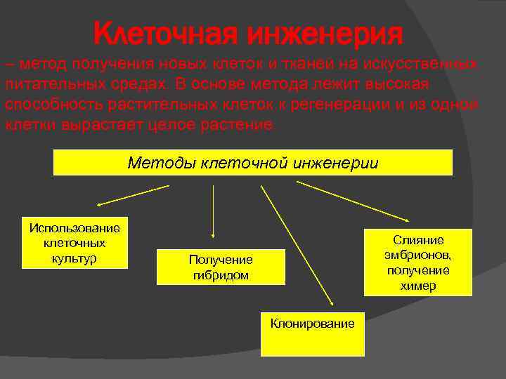 Инженерия метода. Методы клеточной инженерии. Перечислите основные методы клеточной инженерии. Клеточная инженерия метод получения новых клеток. Перечислите технологии клеточной инженерии.