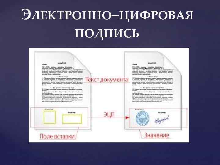 ЭЛЕКТРОННО–ЦИФРОВАЯ ПОДПИСЬ 