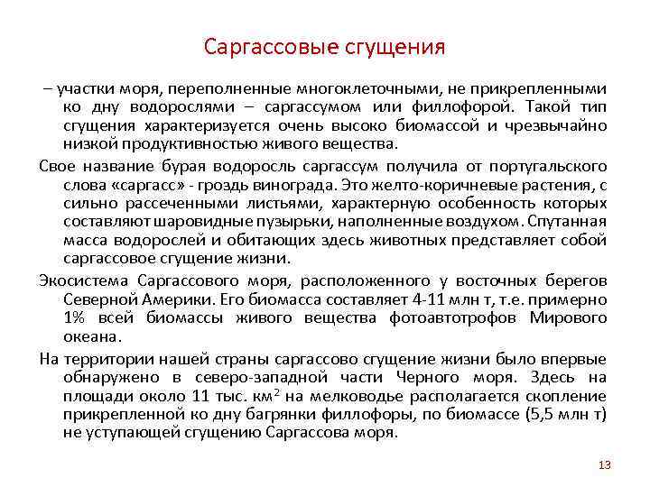 Саргассовые сгущения – участки моря, переполненные многоклеточными, не прикрепленными ко дну водорослями – саргассумом