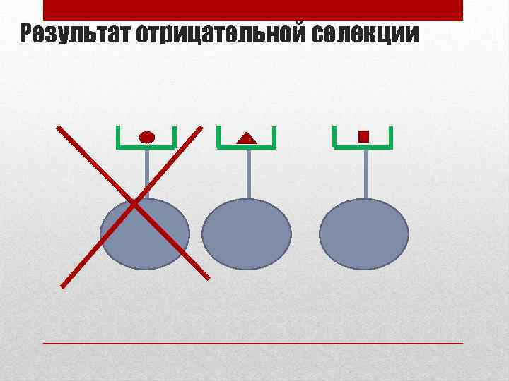 Результат отрицательной селекции 