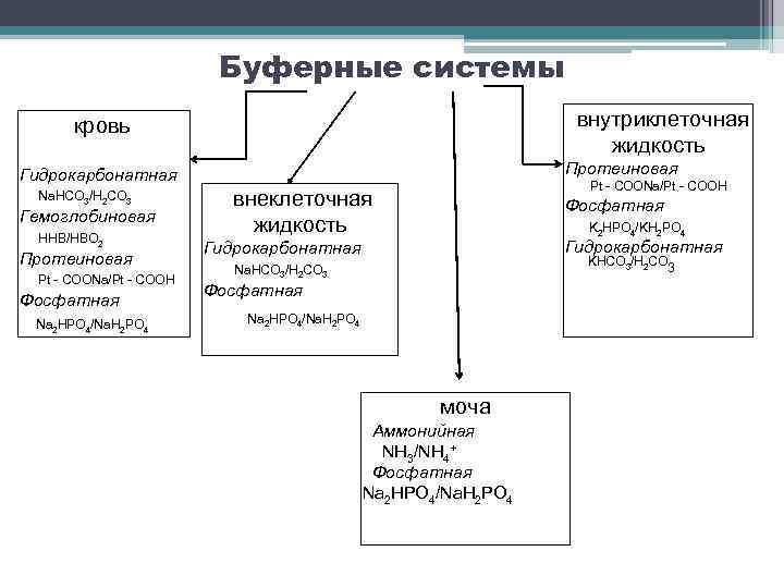 Буферные системы внутриклеточная жидкость кровь Протеиновая Гидрокарбонатная Na. HCO 3/H 2 CO 3 Гемоглобиновая