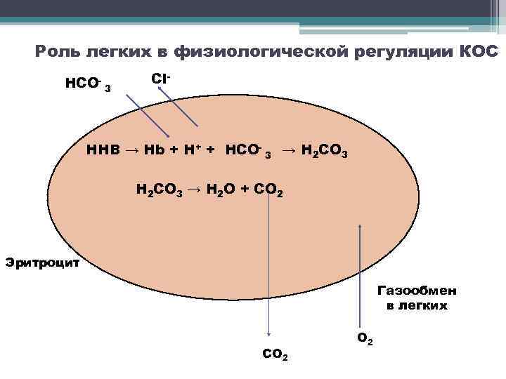 Роль легких в физиологической регуляции КОС НСО- 3 Сl- ННB → Нb + H+