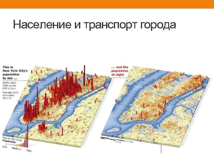 Население и транспорт города 