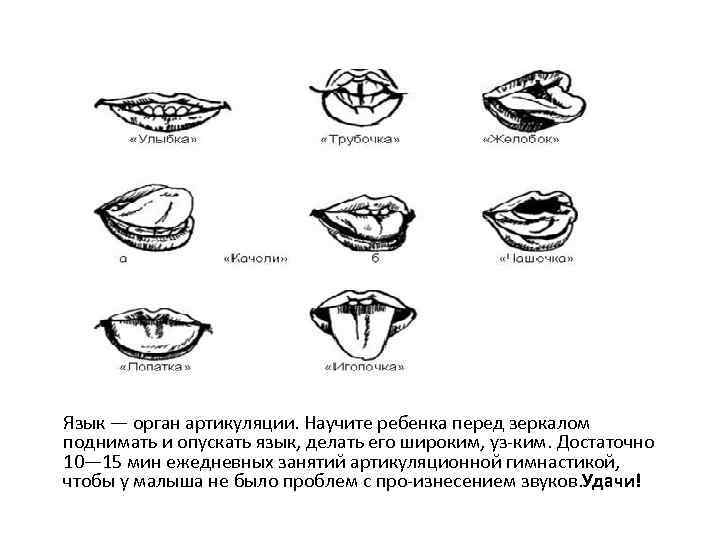 Как делать язык. Разнообразие как делать язык. Как сделать язык гибким. Как сделать язык длиннее упражнения. Как научиться делать языком лодочку.