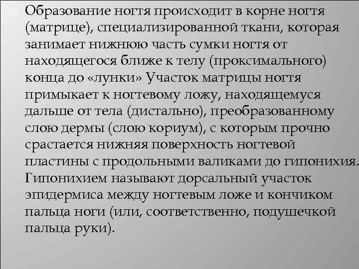  Образование ногтя происходит в корне ногтя (матрице), специализированной ткани, которая занимает нижнюю часть