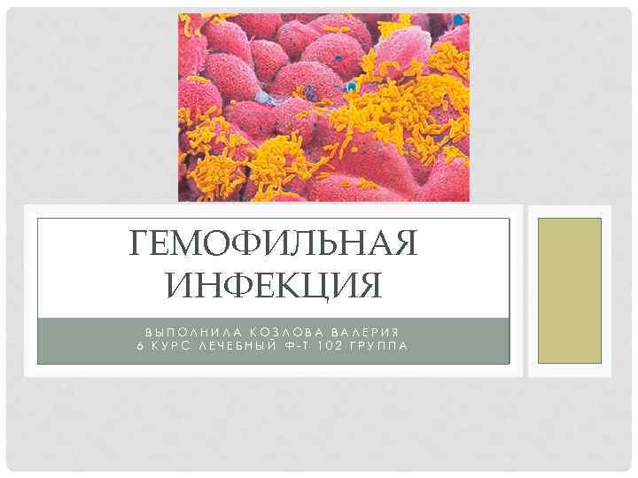 ГЕМОФИЛЬНАЯ ИНФЕКЦИЯ ВЫПОЛНИЛА КОЗЛОВА ВАЛЕРИЯ 6 КУРС ЛЕЧЕБНЫЙ Ф-Т 102 ГРУППА 