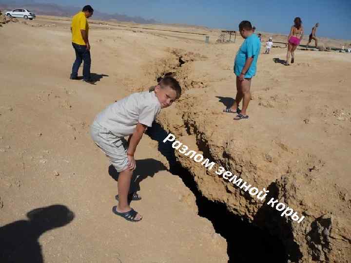 Ра зло мз ем но й ко ры 