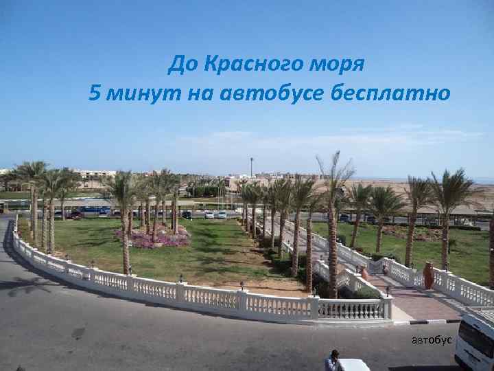 До Красного моря 5 минут на автобусе бесплатно автобус 