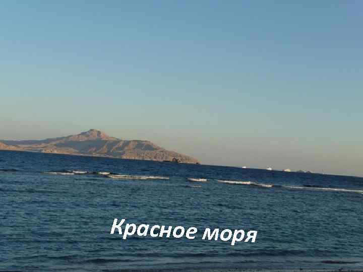 Красное моря 