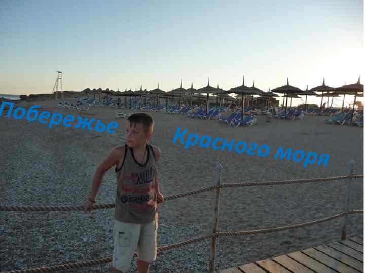 Побереж ье Красног о моря 