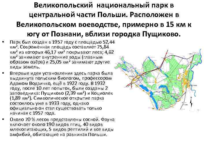 Великопольский национальный парк в центральной части Польши. Расположен в Великопольском воеводстве, примерно в 15