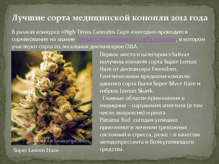 Лучшие сорта медицинской конопли 2012 года В рамках конкурса «High Times Cannabis Cup» ежегодно