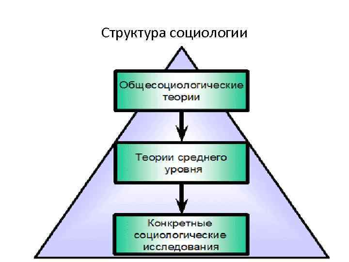 Структура социологии