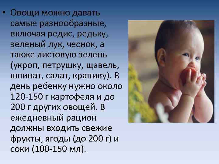  • Овощи можно давать самые разнообразные, включая редис, редьку, зеленый лук, чеснок, а