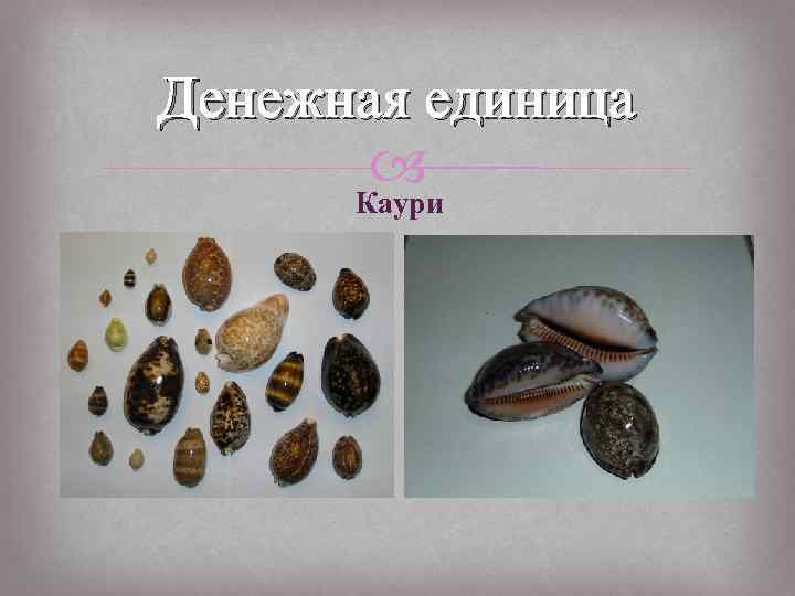 Денежная единица Каури 