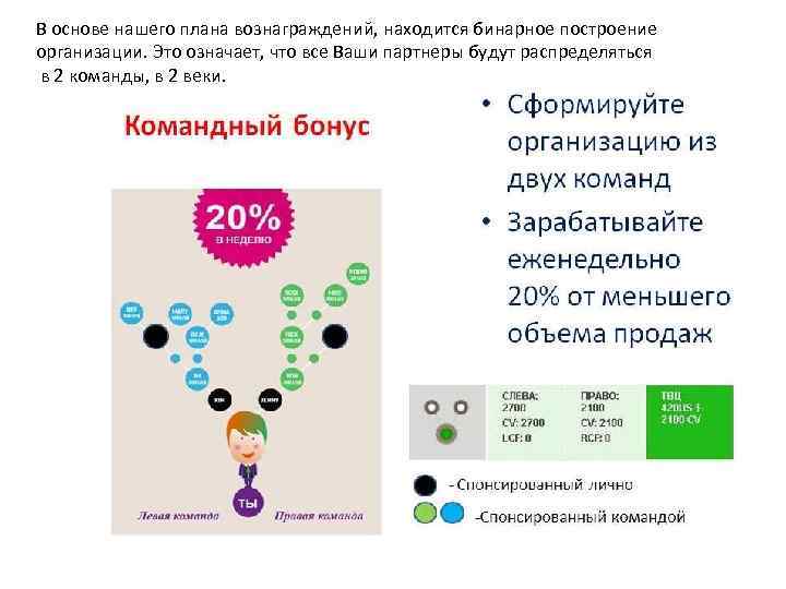 В основе нашего плана вознаграждений, находится бинарное построение организации. Это означает, что все Ваши