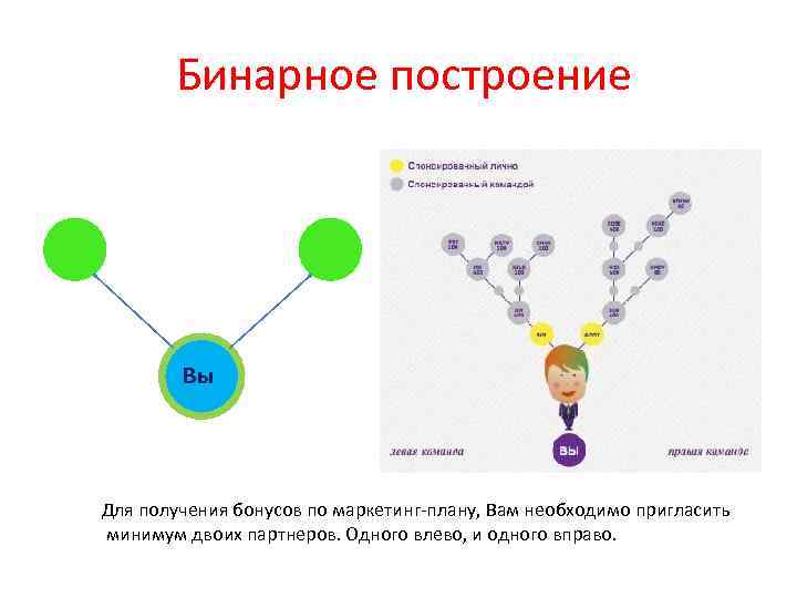  Бинарное построение Вы Для получения бонусов по маркетинг-плану, Вам необходимо пригласить минимум двоих