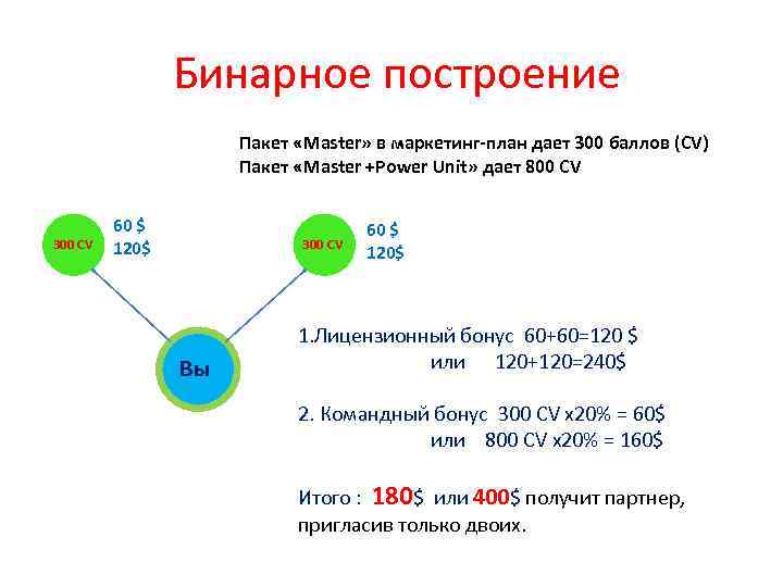  Бинарное построение Пакет «Master» в маркетинг-план дает 300 баллов (CV) Пакет «Master +Power