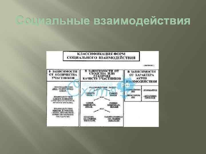 Социальные взаимодействия 