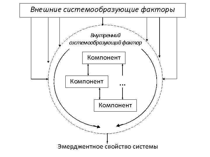 Внешние системообразующие факторы Внутренний системообразующий фактор Компонент … Компонент Эмерджентное свойство системы 