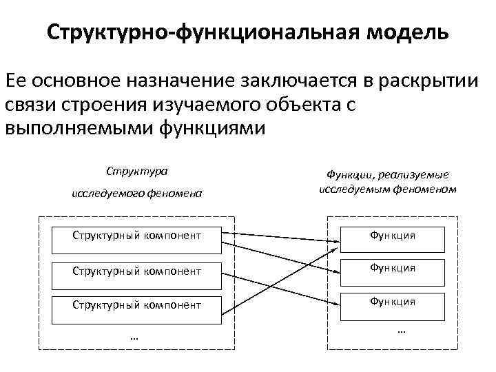 Структурно-функциональная модель Ее основное назначение заключается в раскрытии связи строения изучаемого объекта с выполняемыми