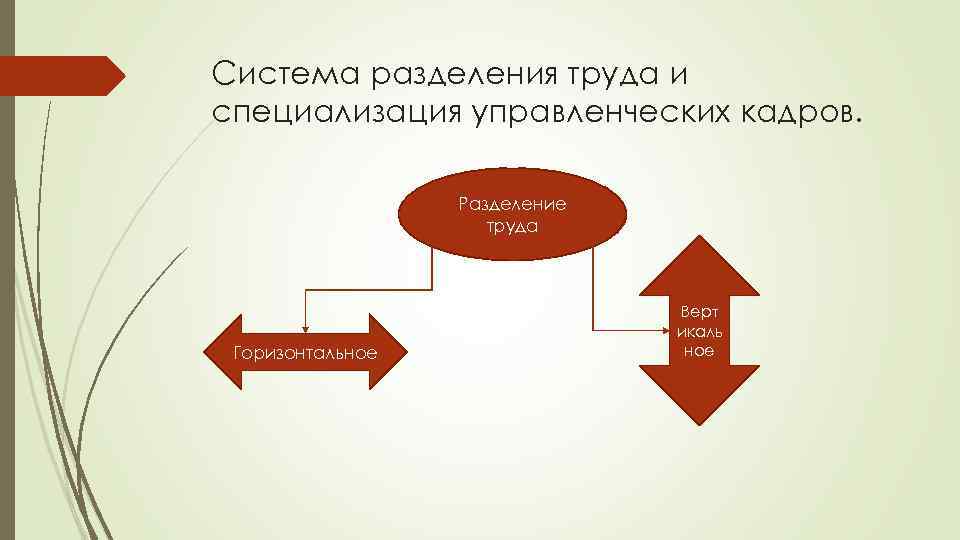 Система разделения труда и специализация управленческих кадров. Разделение труда Горизонтальное Верт икаль ное 