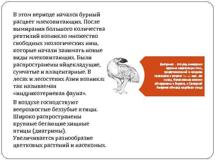 В этом периоде начался бурный расцвет млекопитающих. После вымирания большого количества рептилий возникло множество